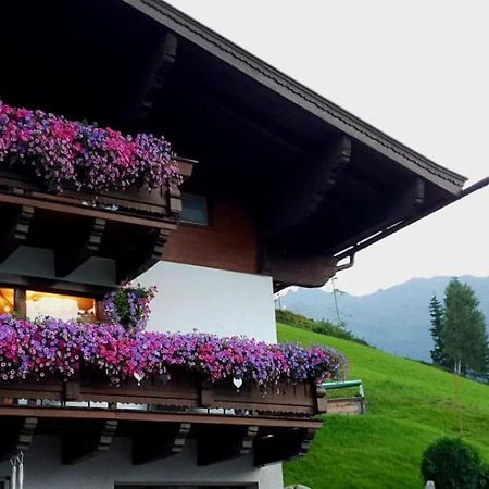 Hinterreithlehen - Ferienwohnung Am Bauernhof Mittersill Exteriér fotografie