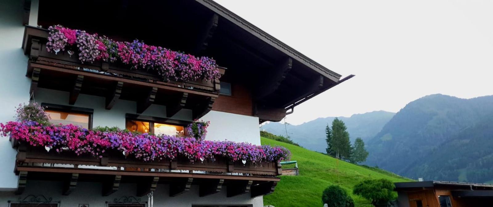 Hinterreithlehen - Ferienwohnung Am Bauernhof Mittersill Exteriér fotografie